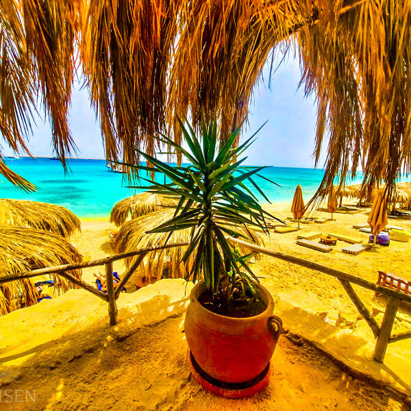 Tages Ausflug um Schnorcheln mit den Delphinen in Hurghada als unvergessliche Tages Ausflug-Schnorcheln Hurghada-Schnorcheln mit Delfinen Hurghada-Beste-Hurghada Ausflüge-Hurghada Ausflugsziele