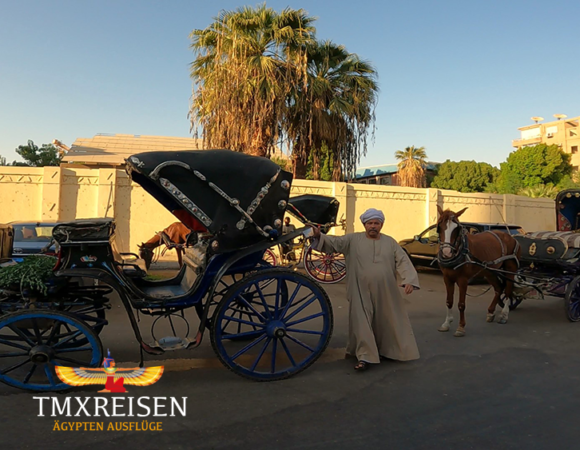 Luxor Stadtrundfahrt mit Pferdekutsche