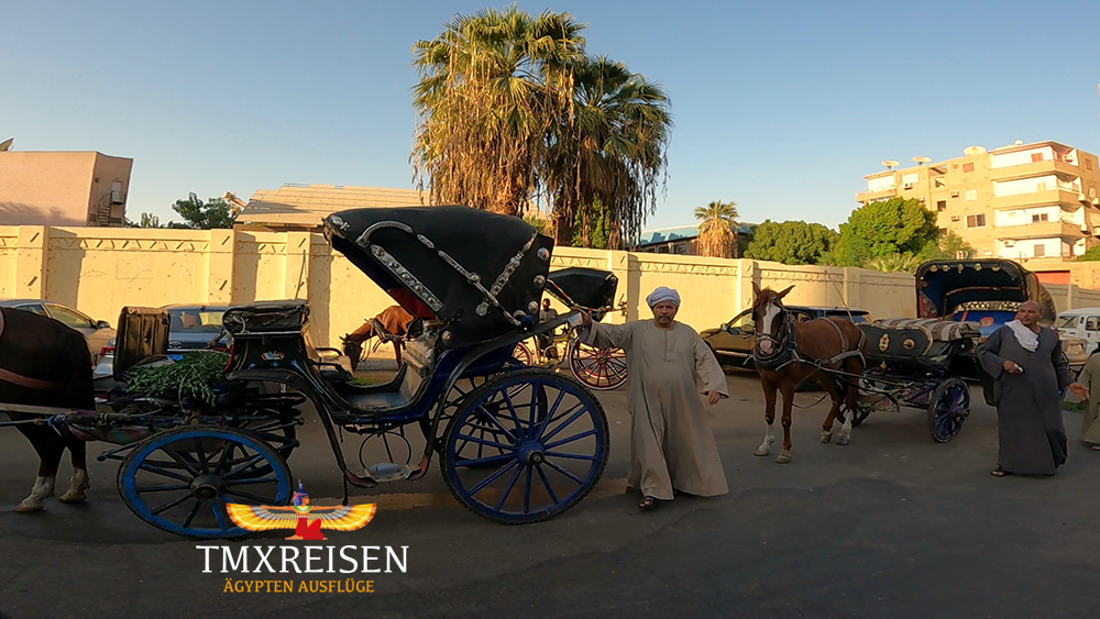 Stadtrundfahrt mit Kutsche in die Stadt Luxor mit TMXREISEN-mögliche Aktivitäten in Luxor-Luxor Aktivitäten