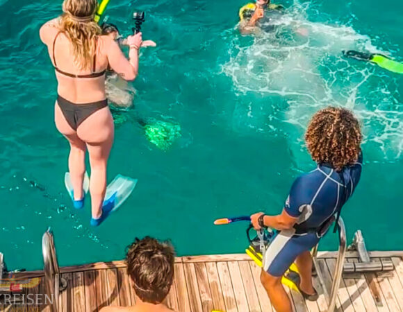 Schnorcheln mit Delphinen in Marsa Alam Sataya