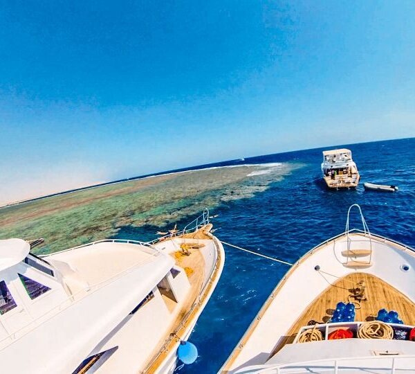 Schnorcheln in Marsa Alam,El Quseir.Burto Ghaleb bei TMXREISEN in Masa Mubarak. Marsa Alam Ausflüge :Marsa Alam Schnorcheln Hausriff.marsa alam schnorcheln hausriff-schnorcheln marsa alam hausriff-marsa alam ausflüge