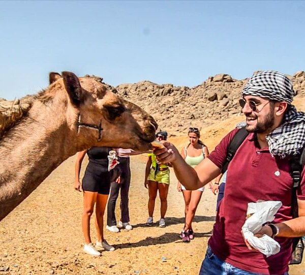 Von Marsa Alam und El Quseir drei Stunden Quad in der Wüsste bei Beduinen bei TMXREISEN-Quad Marsa Alam-mögliche Aktivitäten in Marsa Alam-El Quseir Ausflüge.