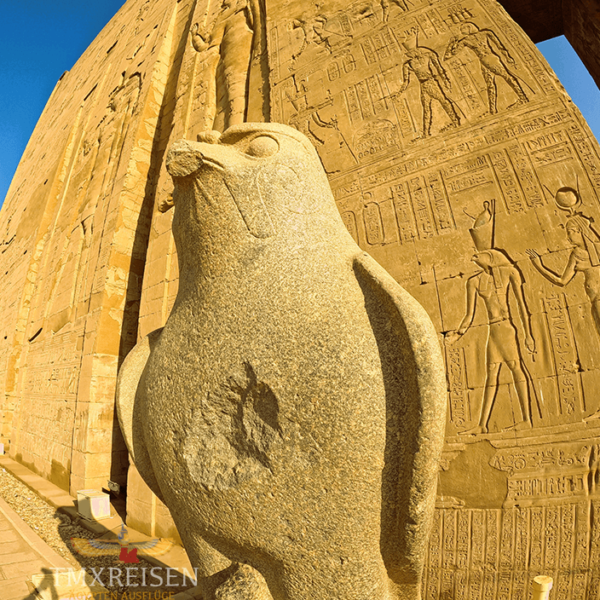 Assuan Ausflüge Privater Tagesausflug zum Edfu Tempel Und Doppeltempel von Kom ombo Privater Tages Ausflug von Assuan nach Edfu und Kom ombo Tempel mit TMXREISEN-Ausflüge Assuan-Horus Tempel,Kom Ombo-Edfu,Edfu Horus Tempel,Komombo Tempel
