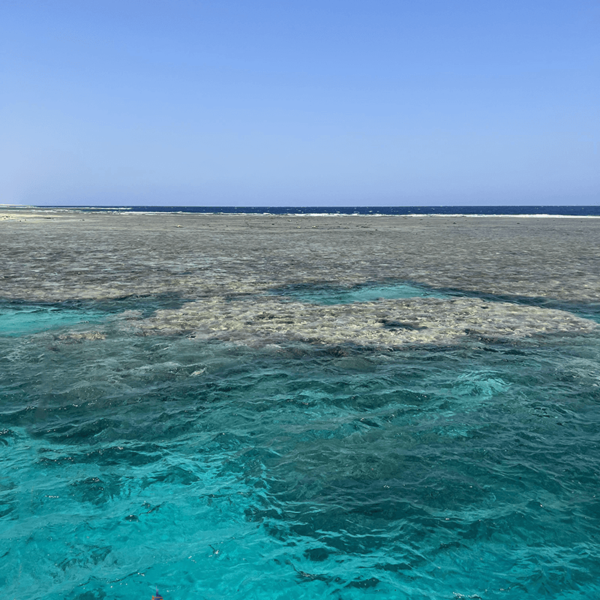 Schnorcheln in MarsaAlam in Hamata Insel nur bei TMXREISEN von Marsa Alam und El Quseir