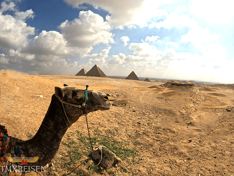 Tages Ausflug von Scharm El Scheich nach Kairo um die Pyramiden von Gizeh zu besichtigen bei TMXREISEN-Tagesausflug nach Kairo mit Flug-Sharm El Sheikh Pyramiden-Sharm El Sheikh Ausflug Pyramiden-Pyramiden Sharm El sheikh-Sharm El Sheik Kairo.