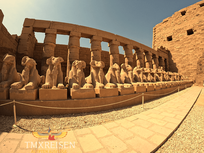 Assuan Ausflüge, Übernachtung in Luxor ab Assuan bei TMXREISEN-mögliche Aktivitäten in Assuan-Ausflüge Assuan-Ausflug Luxor-Luxor Sehenswürdigkeiten
