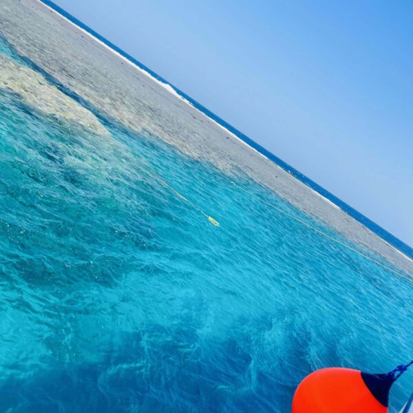 Schnorcheln in Marsa Alam,El Quseir.Burto Ghaleb bei TMXREISEN in Masa Mubarak