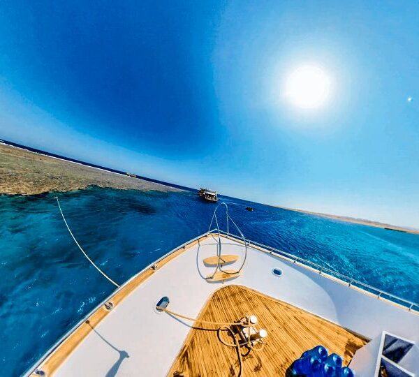 Marsa Alam Ausflüge schnocheln in marsa alam in Hamata insel mit tmxreisen. Marsa Alam Schnorcheln Hausriff, Beste Ausflug in Marsa Alam ZumSchnorcheln.-Marsa Alam Ausflüge-El Quseir Ausflüge-mögliche Aktivitäten in Marsa Alam