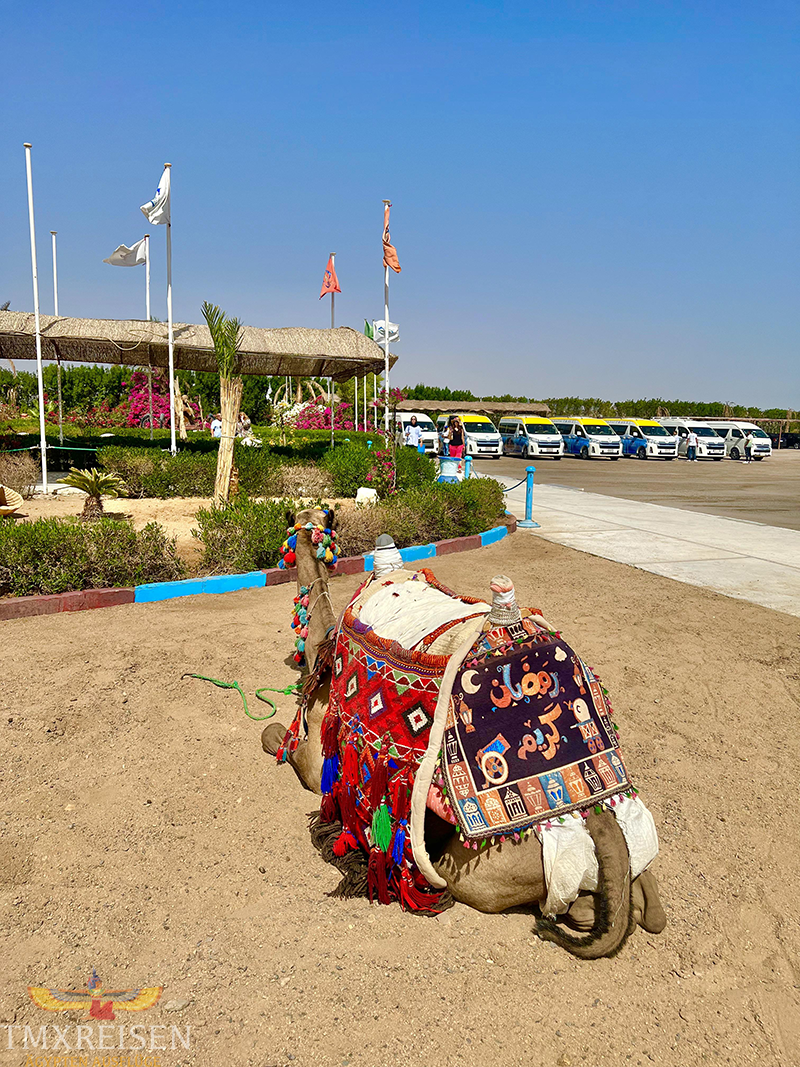 Ausflüge von Hurghada