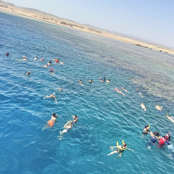 schnorcheln ausflüge in ägypten