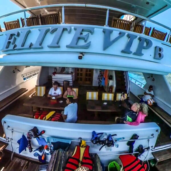 Hurghada Schnorchel Elite VIP